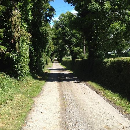 Ballindrum Farm B&B Athy Eksteriør billede