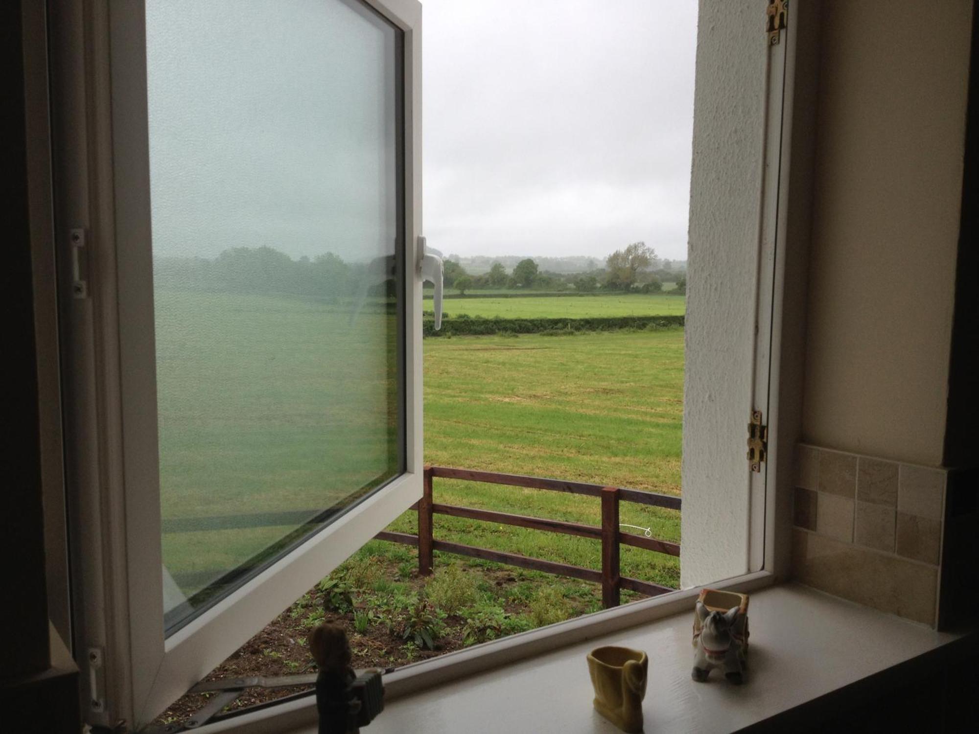 Ballindrum Farm B&B Athy Eksteriør billede