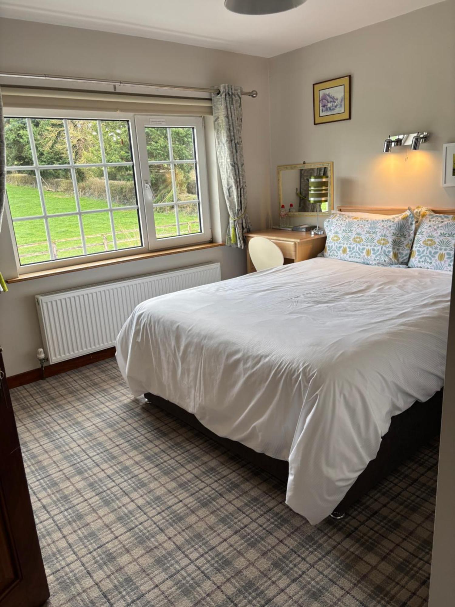 Ballindrum Farm B&B Athy Eksteriør billede