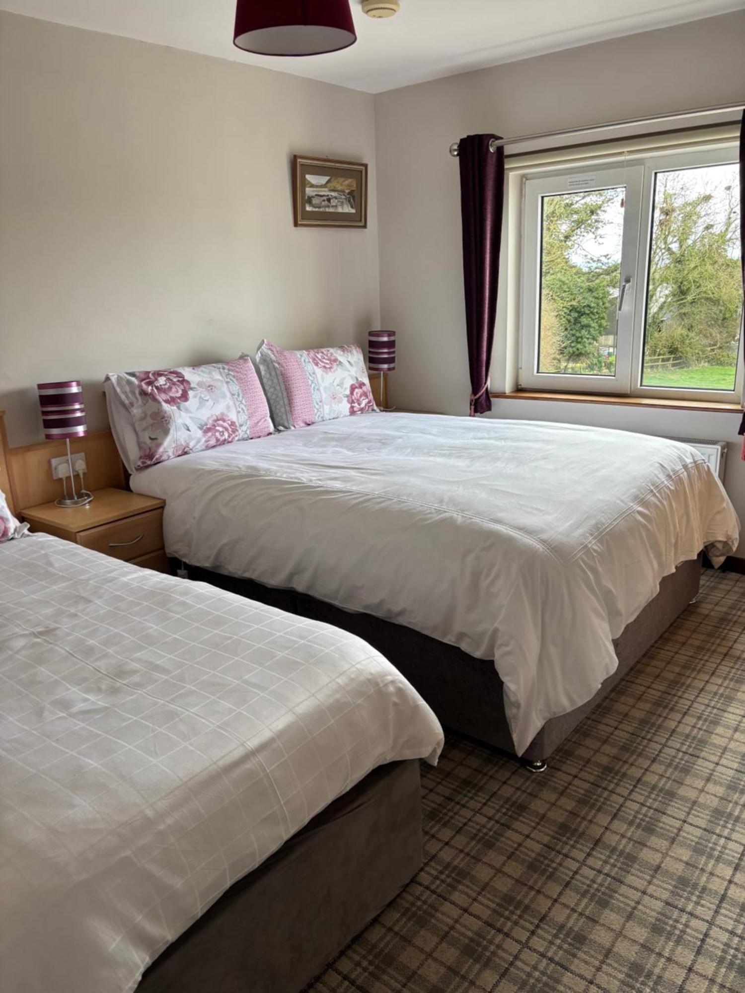 Ballindrum Farm B&B Athy Eksteriør billede