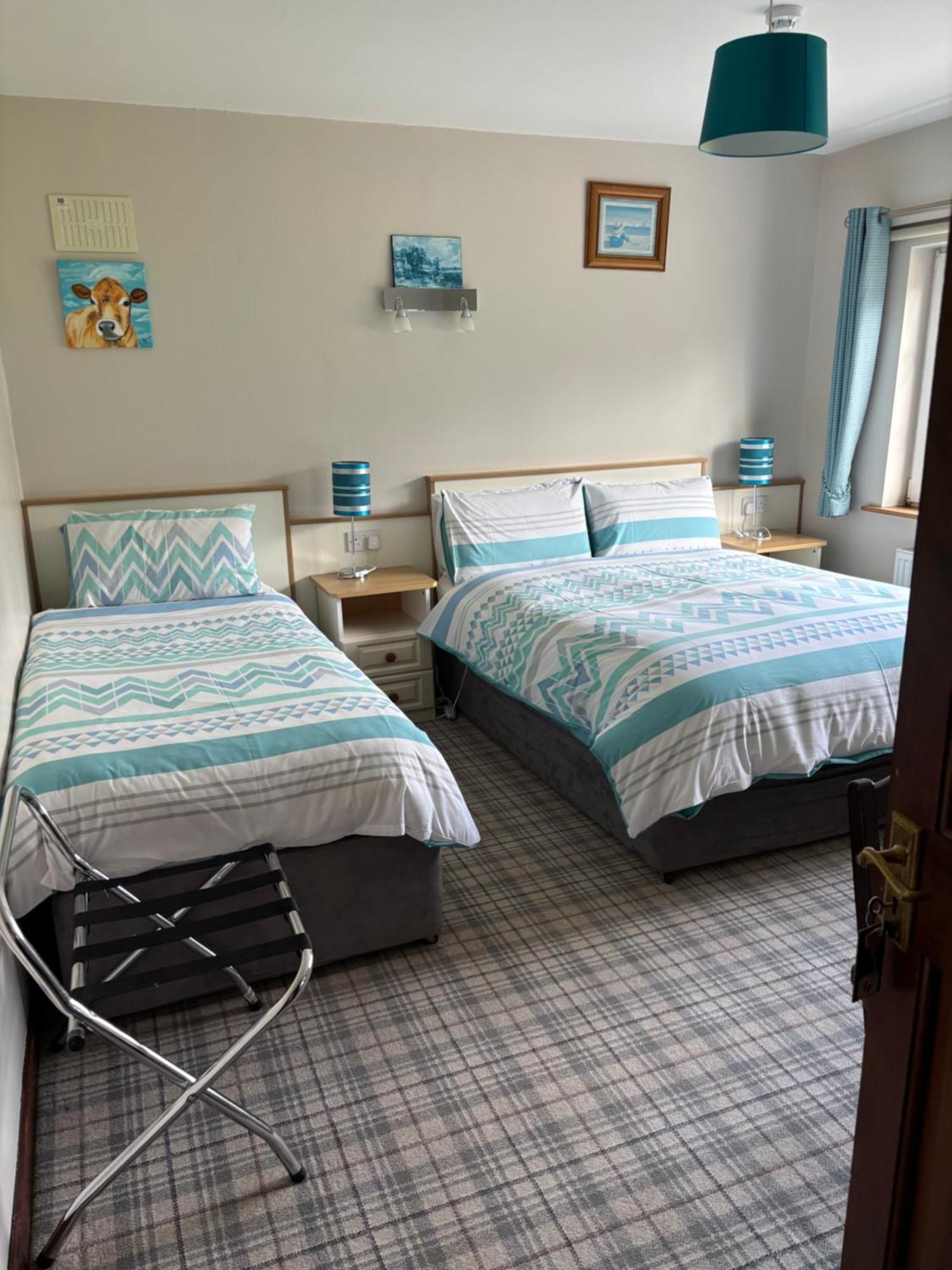 Ballindrum Farm B&B Athy Eksteriør billede