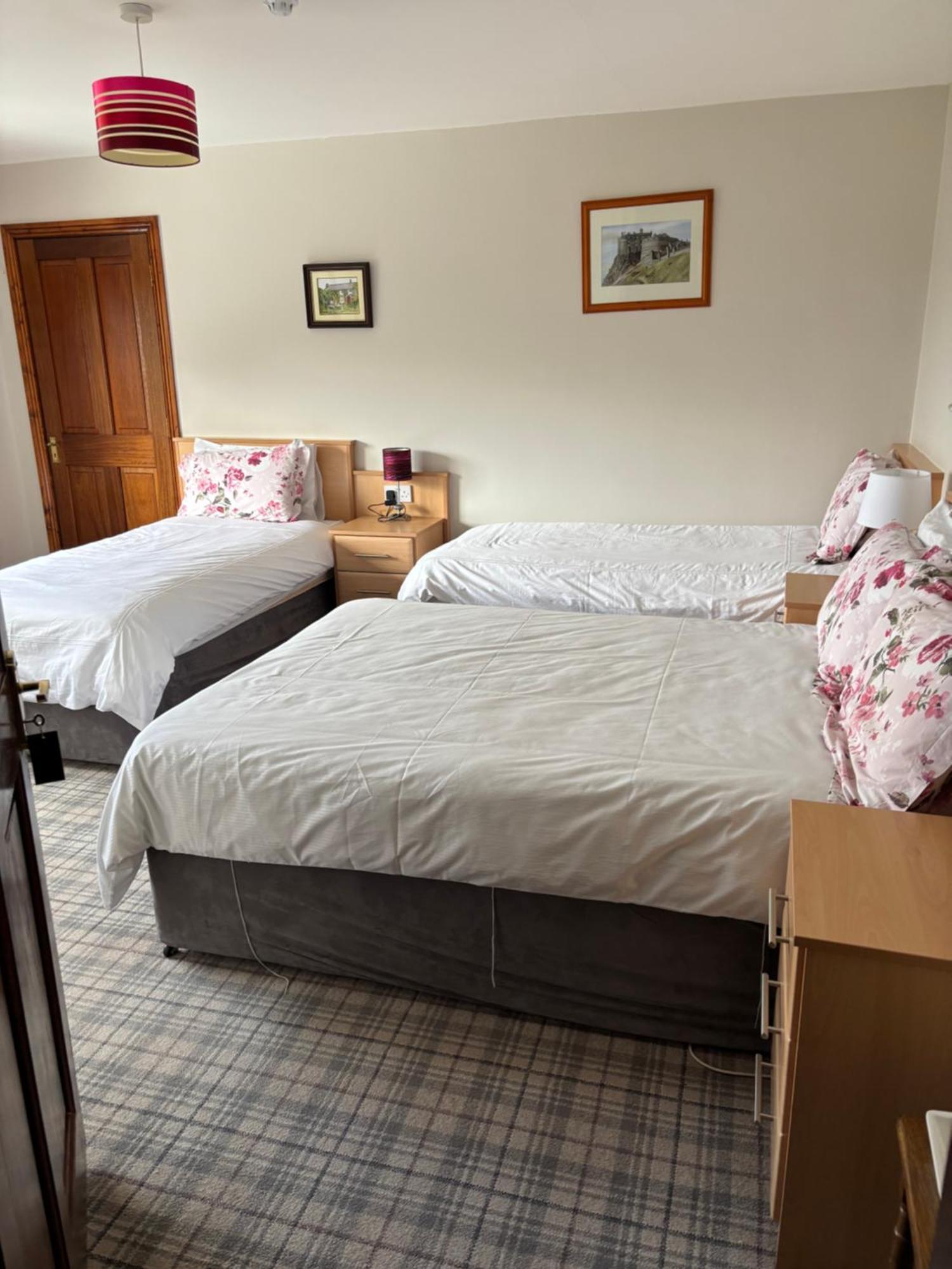 Ballindrum Farm B&B Athy Eksteriør billede