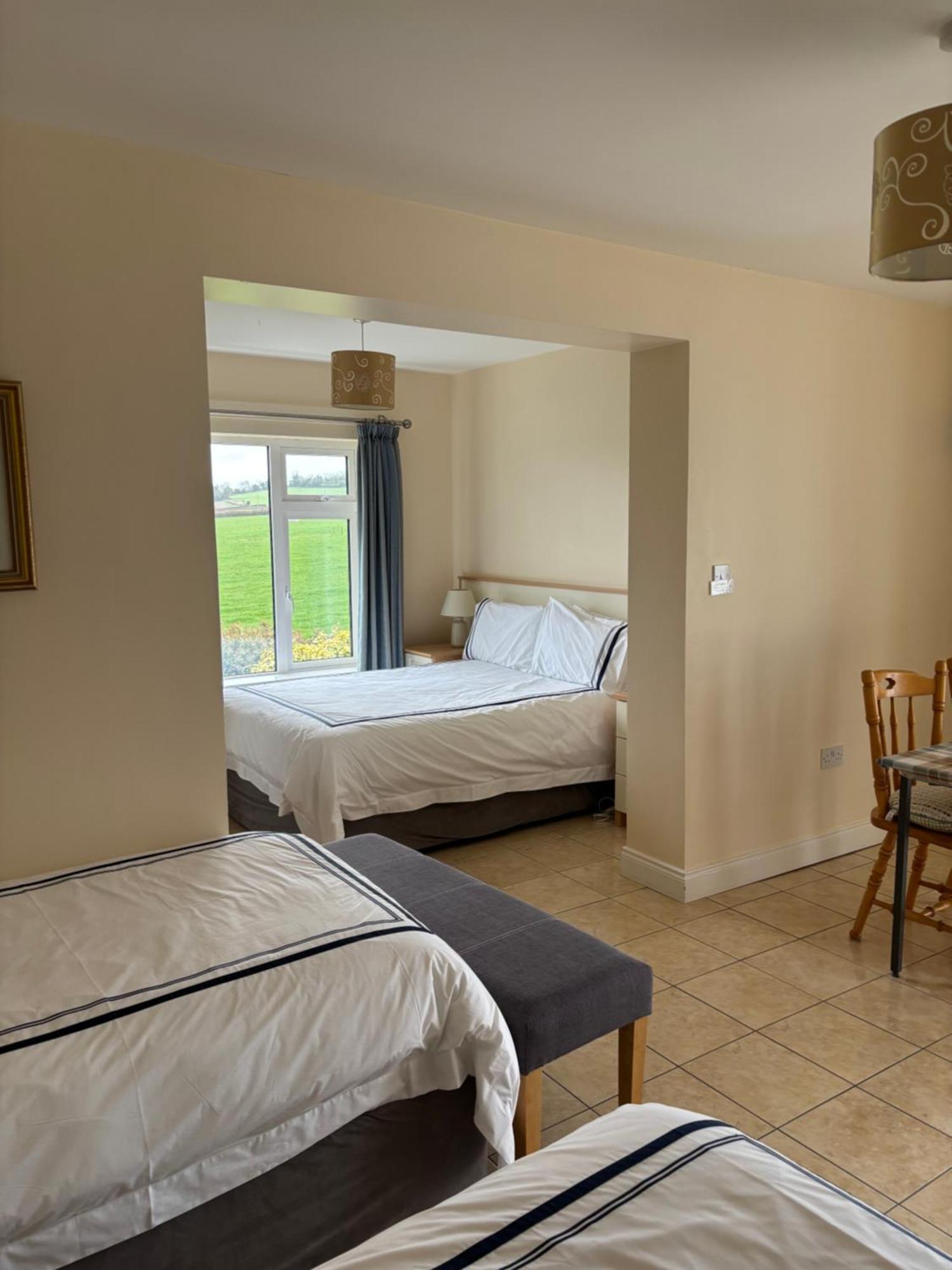 Ballindrum Farm B&B Athy Eksteriør billede