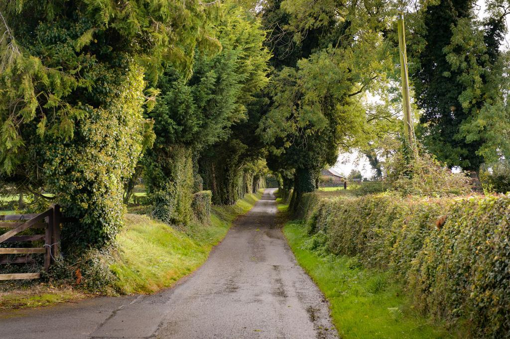 Ballindrum Farm B&B Athy Eksteriør billede