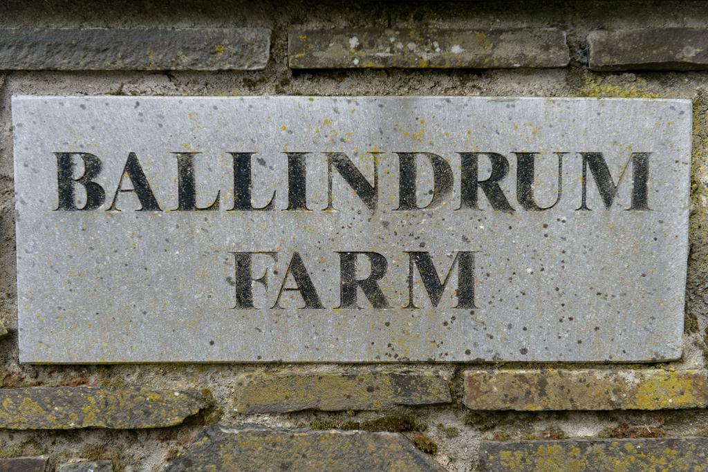 Ballindrum Farm B&B Athy Eksteriør billede