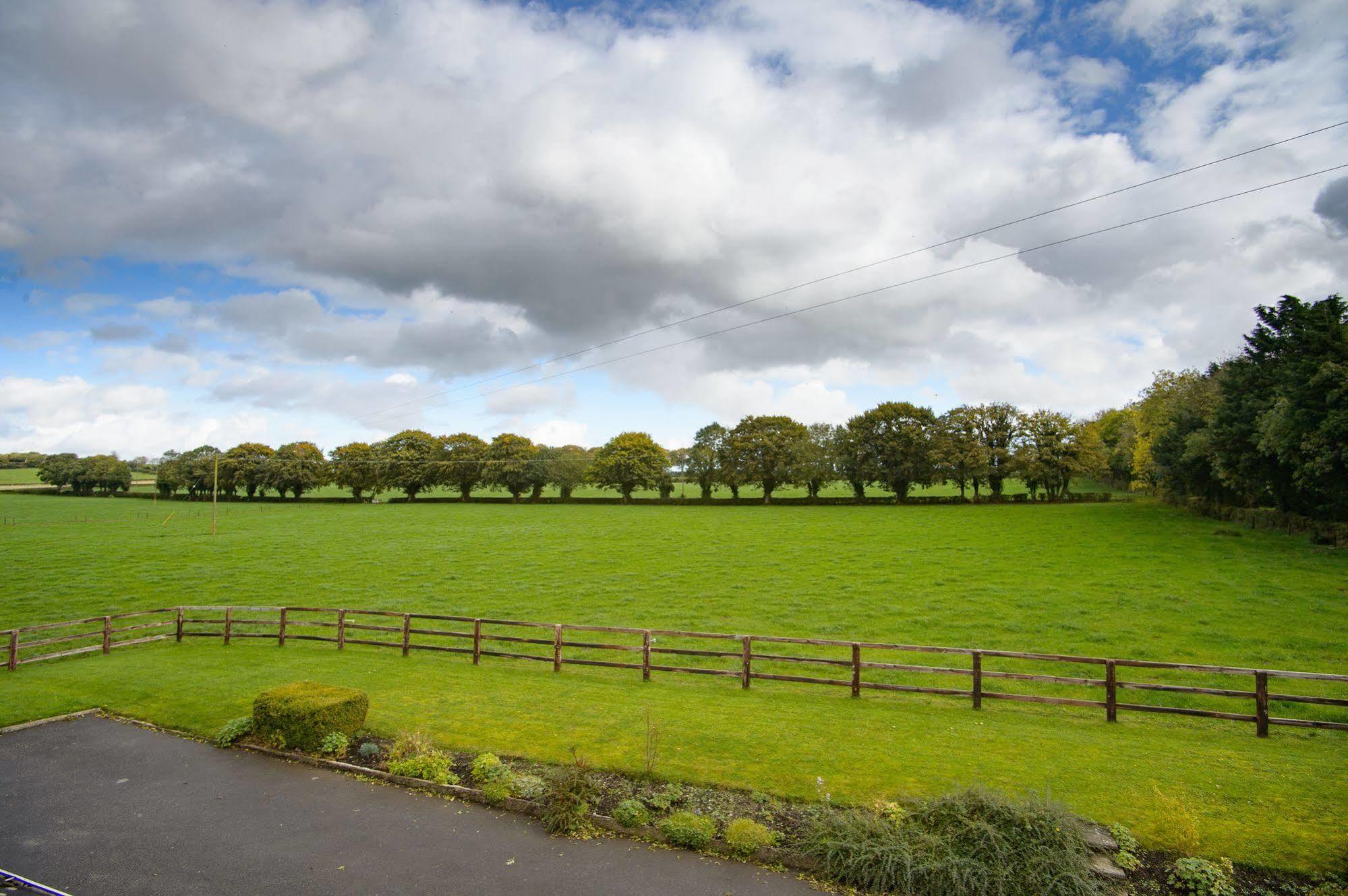 Ballindrum Farm B&B Athy Eksteriør billede
