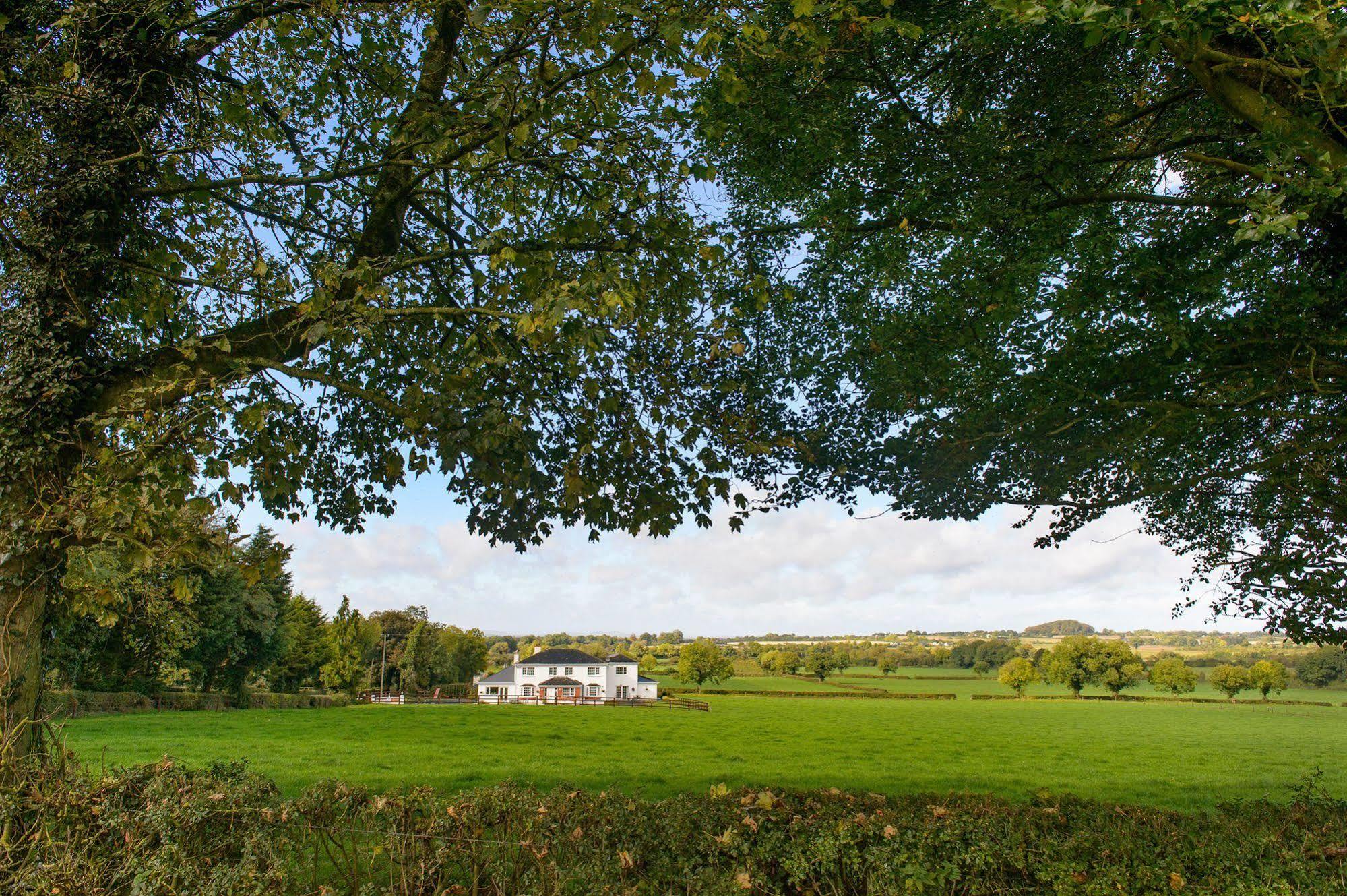 Ballindrum Farm B&B Athy Eksteriør billede